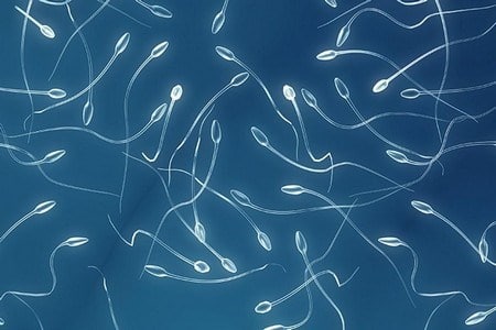 Можно ли во время беременности глотать сперму