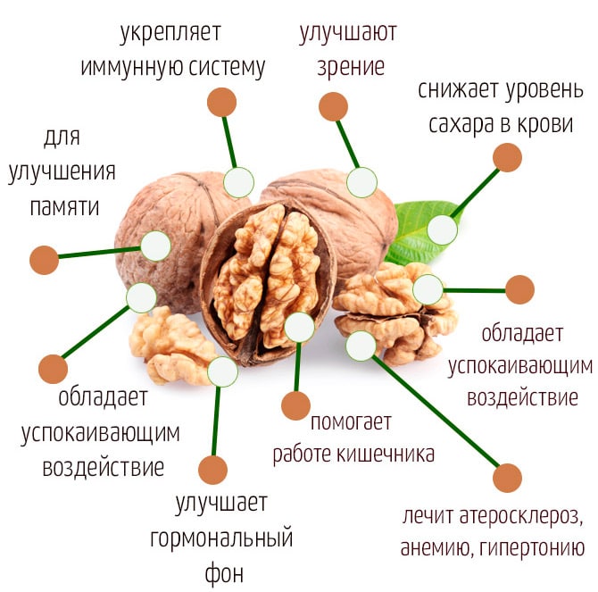 Орехи лечат гипертонию