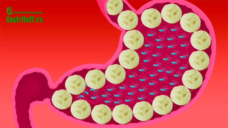 Как бананы при гастрите желудка помогают организму